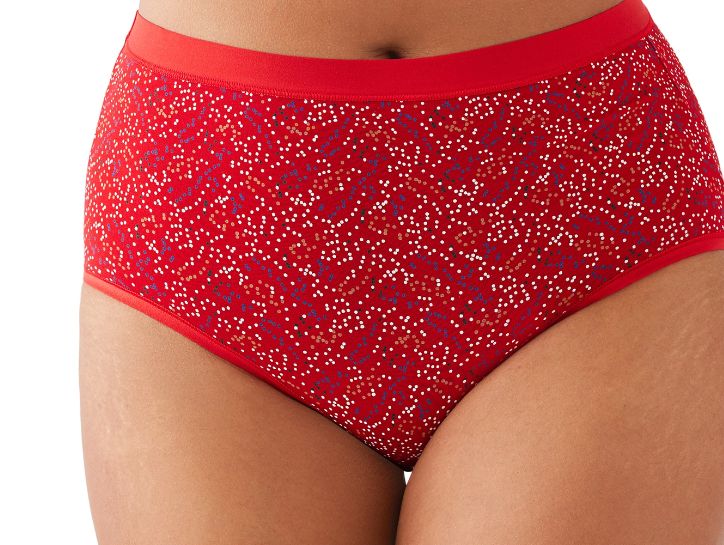 Understated Cotton Brief Panty