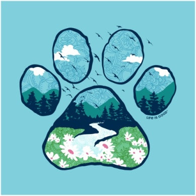 Short Sleeve Crusher Lite V Neck Tee Paw Print