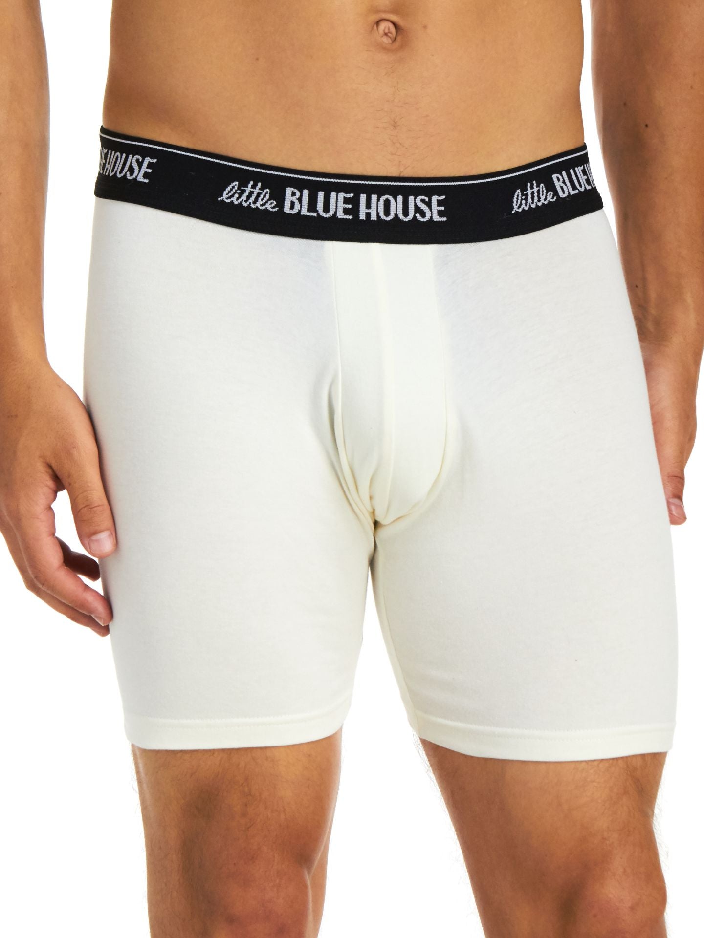 Bear Bum Boxer Brief